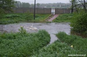 20100518_1_142